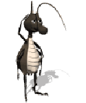 Itchy bug